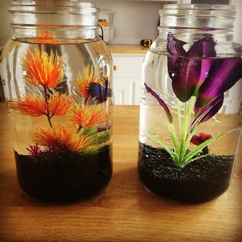 diy fish bowl decorations.